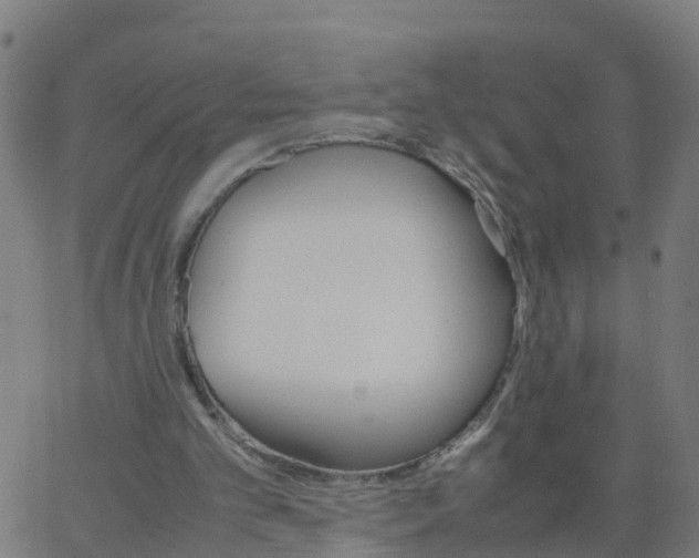 X0000066100101200603312035