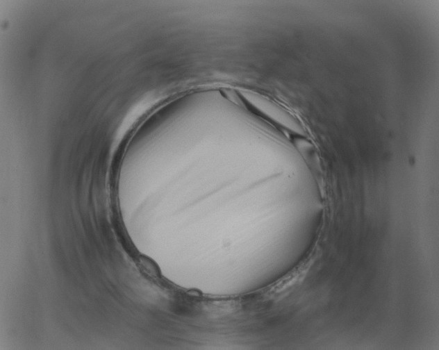 X0000066100102200603312035