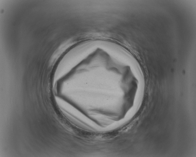 X0000066100103200603312035