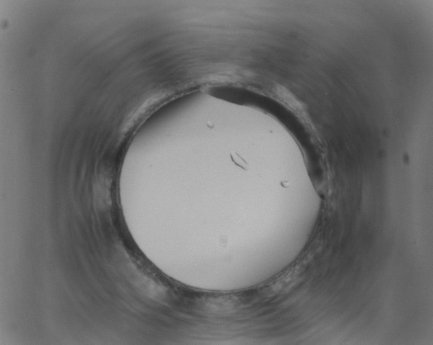 X0000066100106200603312035