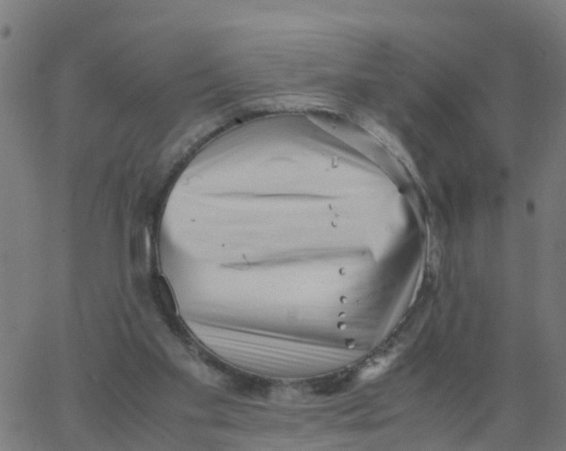 X0000066100109200603312035