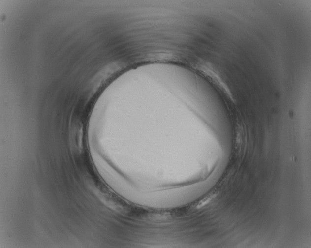 X0000066100110200603312035