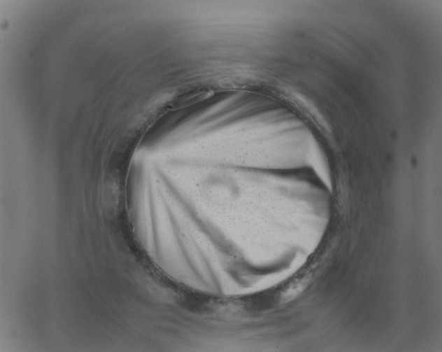 X0000066100113200603312035