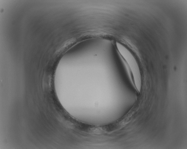 X0000066100115200603312035