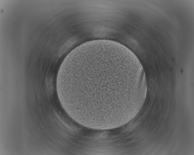 X0000066100116200603312035