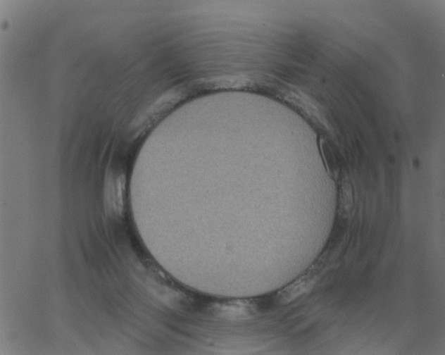 X0000066100118200603312035