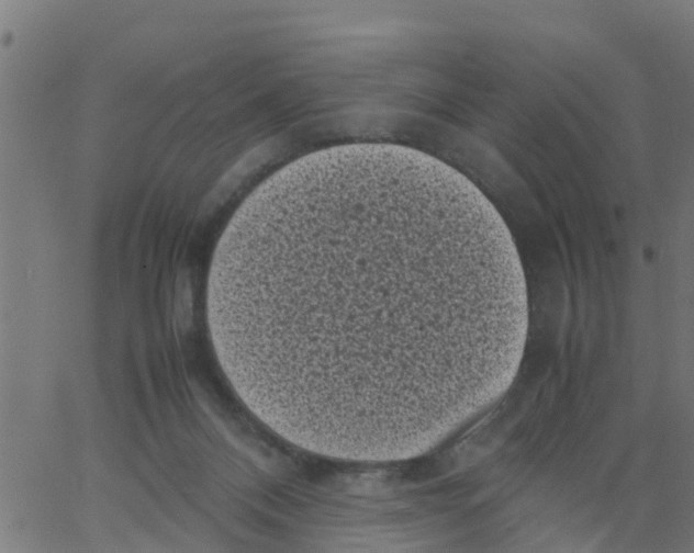 X0000066100120200603312035