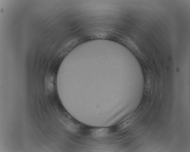 X0000066100122200603312035