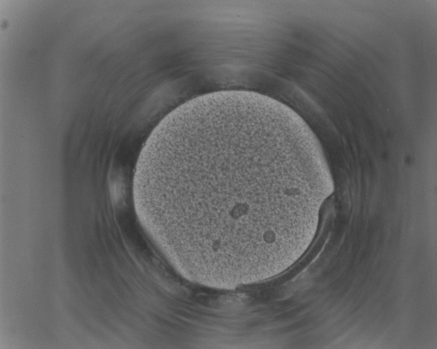 X0000066100124200603312035