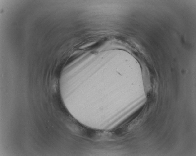 X0000066100125200603312035