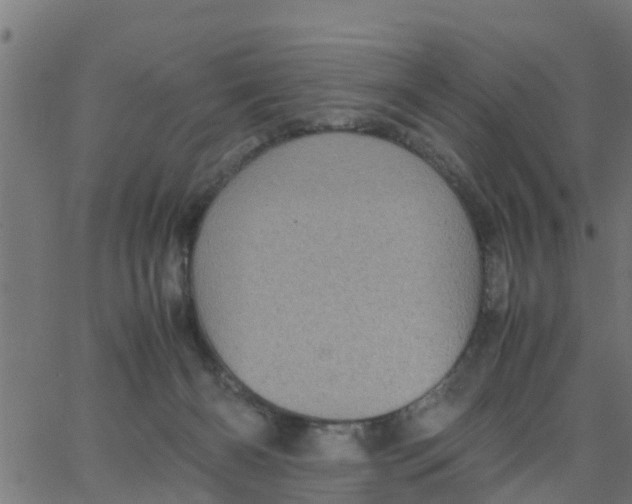 X0000066100126200603312035