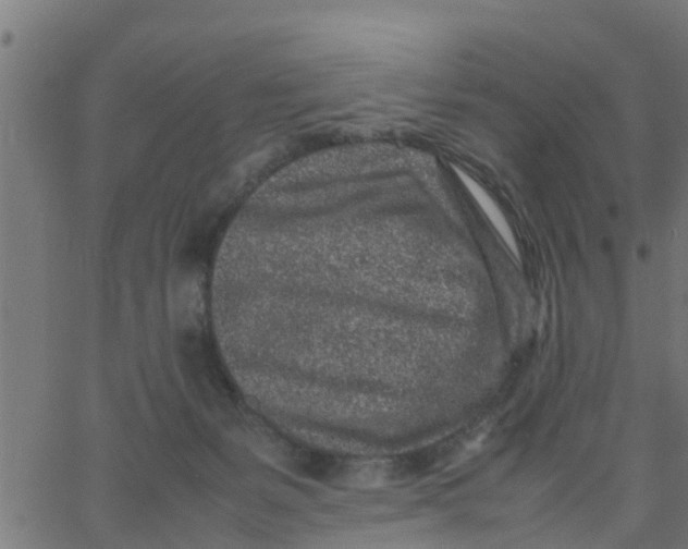 X0000066100127200603312035