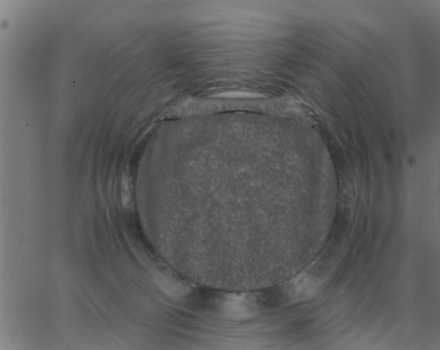 X0000066100130200603312035