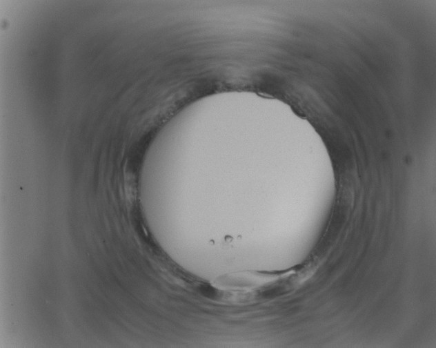 X0000066100135200603312035