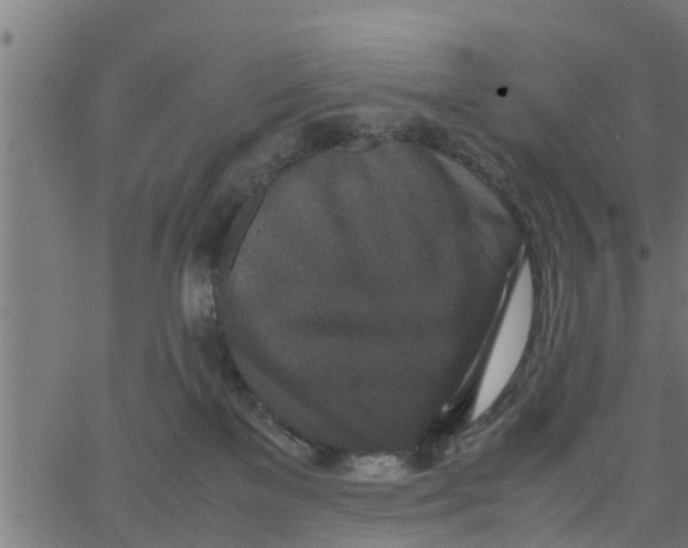 X0000066100137200603312035