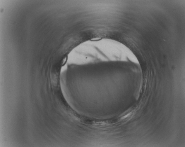 X0000066100139200603312035