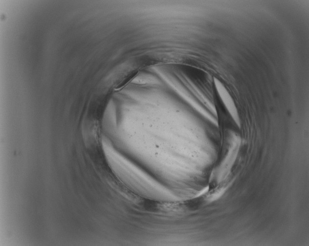 X0000066100141200603312034