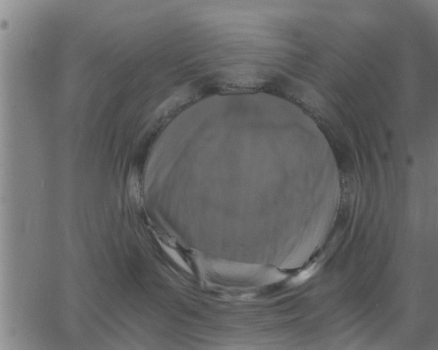 X0000066100143200603312034