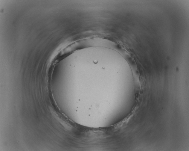 X0000066100150200603312034