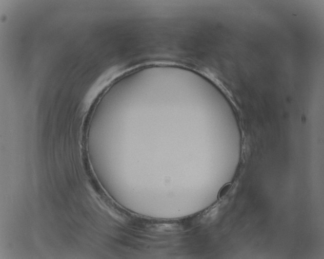 X0000066100151200603312034