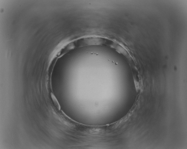 X0000066100152200603312034