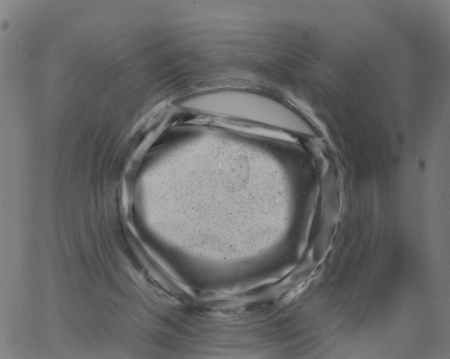 X0000066100154200603312034