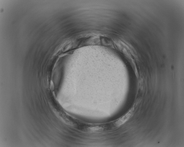 X0000066100158200603312034