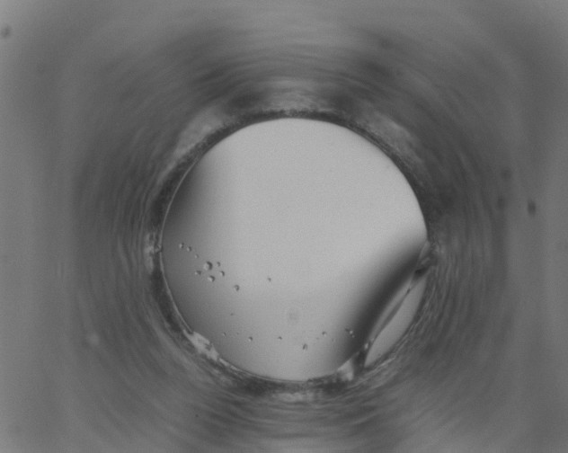 X0000066100160200603312034