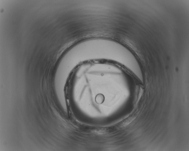 X0000066100164200603312034