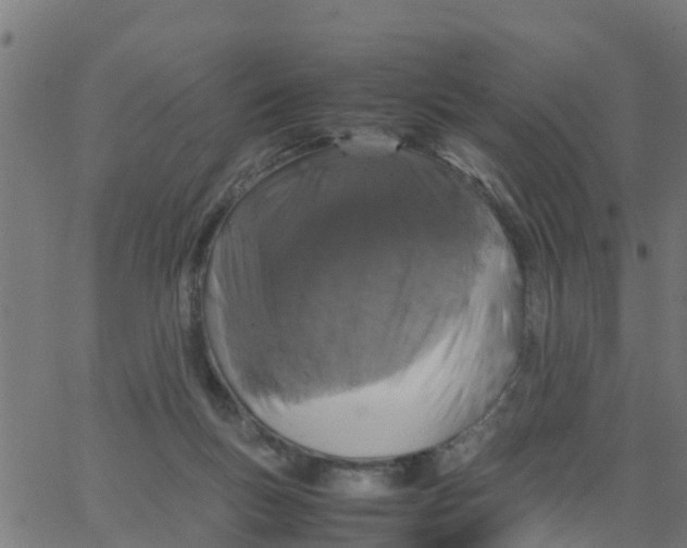 X0000066100167200603312034