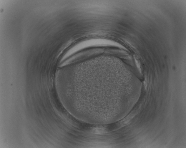 X0000066100168200603312034