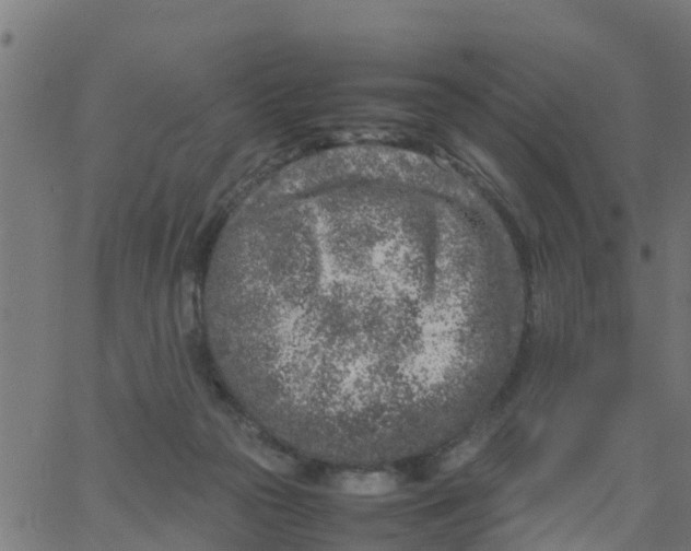 X0000066100169200603312034