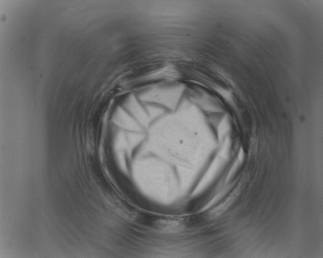 X0000066100170200603312034