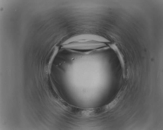 X0000066100172200603312034