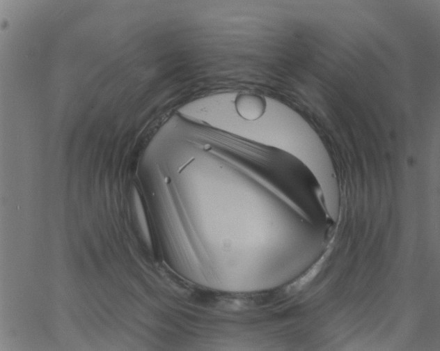 X0000066100174200603312034