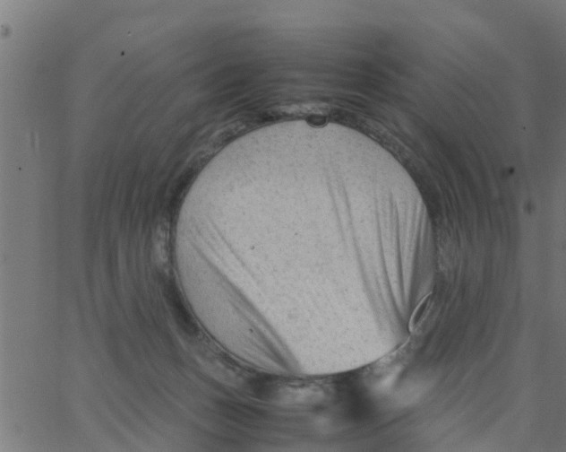 X0000066100175200603312034