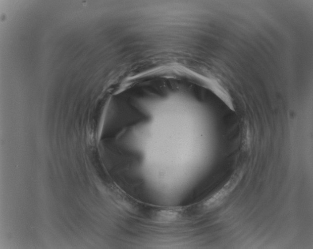 X0000066100176200603312034