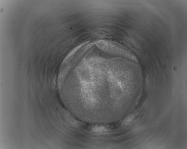 X0000066100177200603312034