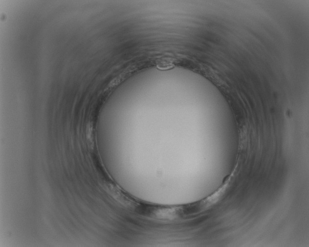 X0000066100178200603312034