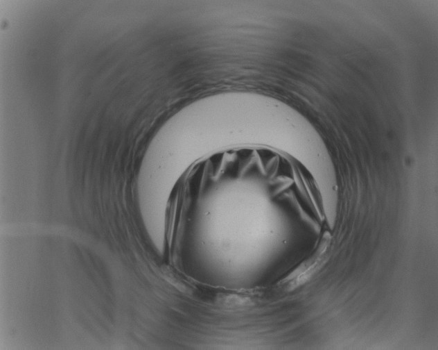 X0000066100180200603312034