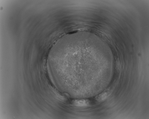 X0000066100181200603312034