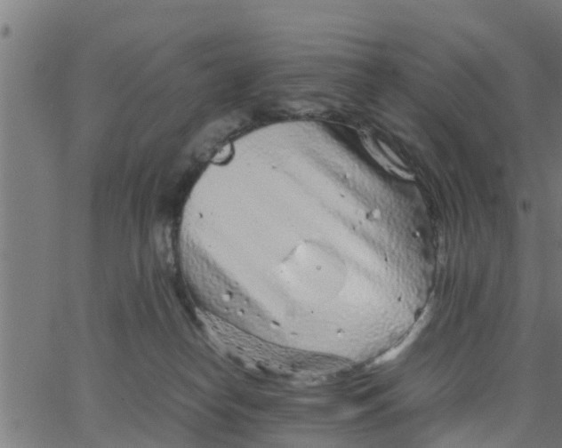 X0000066100182200603312034