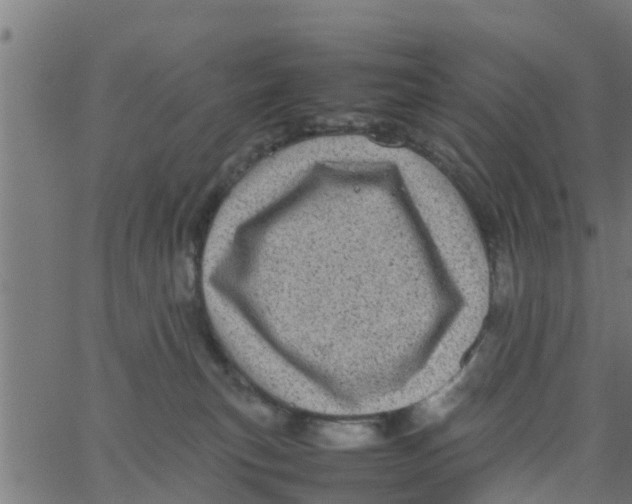 X0000066100183200603312034