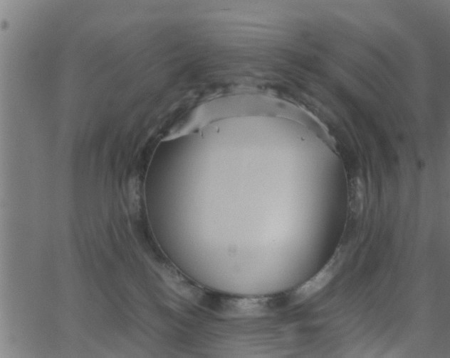 X0000066100184200603312034