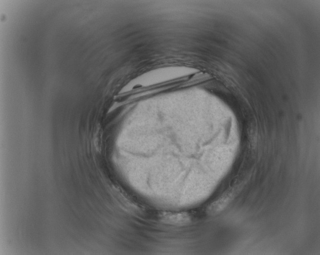 X0000066100185200603312034