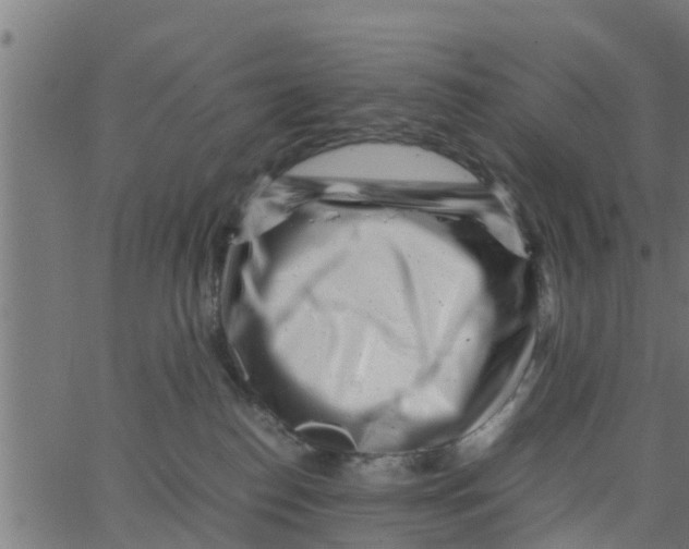 X0000066100186200603312034