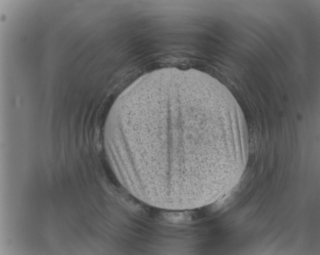 X0000066100187200603312034