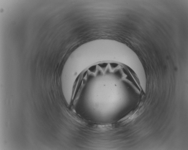 X0000066100188200603312034