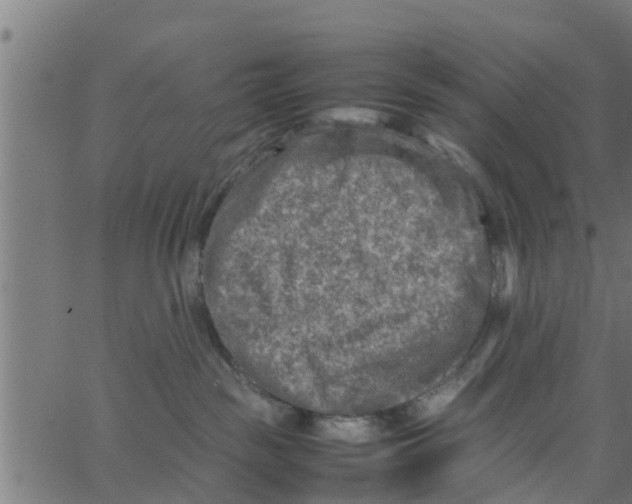 X0000066100189200603312034