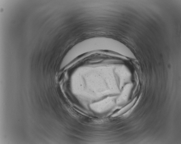 X0000066100190200603312034